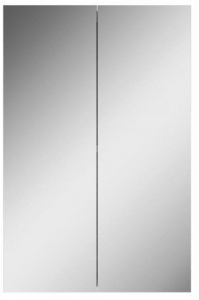Шкаф-зеркало Норма 45 2 двери АЙСБЕРГ (DA1635HZ) в Златоусте - zlatoust.ok-mebel.com | фото 4
