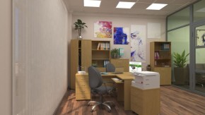 Шкафы для документов Р.Ш-4СБ в Златоусте - zlatoust.ok-mebel.com | фото 5