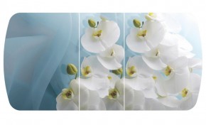 Стол Бостон-3 (Белая Орхидея) 1100/1420*700, опора Брифинг в Златоусте - zlatoust.ok-mebel.com | фото 2