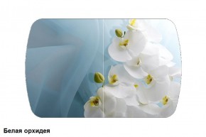 Стол Бостон 900*600 (опоры Брифинг) Стекло/фотопечать Белая Орхидея в Златоусте - zlatoust.ok-mebel.com | фото
