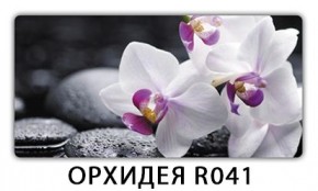 Стол обеденный Трилогия с фотопечатью Орхидея R041 в Златоусте - zlatoust.ok-mebel.com | фото 7