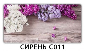 Стол раздвижной Трилогия с фотопечатью Орхидея C012 в Златоусте - zlatoust.ok-mebel.com | фото 16