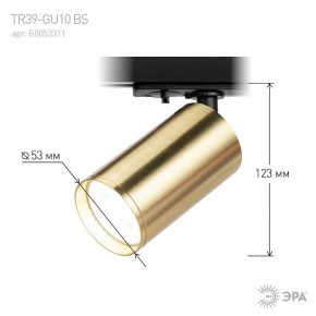 Светильник на штанге Эра  TR39-GU10 BS в Златоусте - zlatoust.ok-mebel.com | фото 6