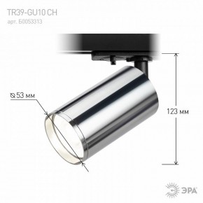 Светильник на штанге Эра  TR39-GU10 СН в Златоусте - zlatoust.ok-mebel.com | фото 7