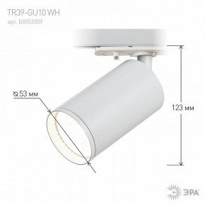 Светильник на штанге Эра  TR39-GU10 WH в Златоусте - zlatoust.ok-mebel.com | фото 7