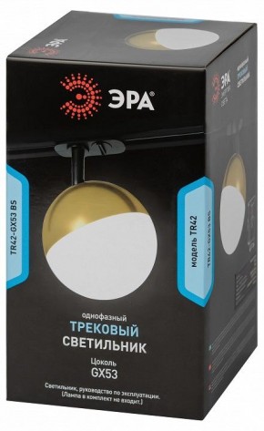 Светильник на штанге Эра  TR42-GX53 BS в Златоусте - zlatoust.ok-mebel.com | фото 6
