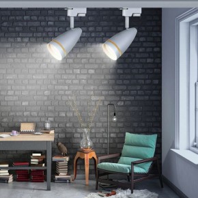Светильник на штанге Эра  TR49 - GU10 WH в Златоусте - zlatoust.ok-mebel.com | фото 2