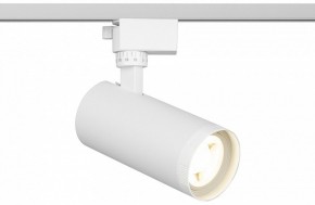 Светильник на штанге Эра  TR59 - 2040 WH в Златоусте - zlatoust.ok-mebel.com | фото