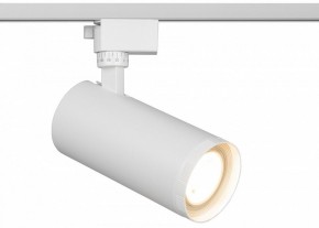 Светильник на штанге Эра  TR59 - 3030 WH в Златоусте - zlatoust.ok-mebel.com | фото
