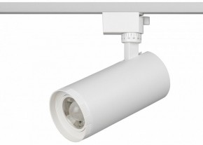Светильник на штанге Эра  TR59 - 3030 WH в Златоусте - zlatoust.ok-mebel.com | фото 2