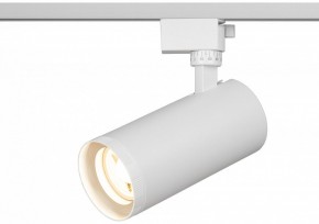 Светильник на штанге Эра  TR59 - 3030 WH в Златоусте - zlatoust.ok-mebel.com | фото 5