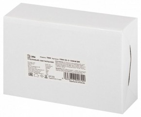 Светильник на штанге Эра  TRM-S5-3-12W4K-BK в Златоусте - zlatoust.ok-mebel.com | фото 8