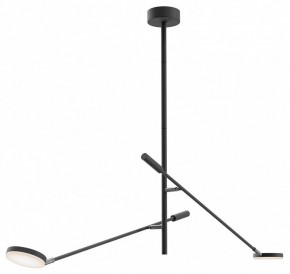 Светильник на штанге Maytoni Fad MOD070CL-L15B3K1 в Златоусте - zlatoust.ok-mebel.com | фото