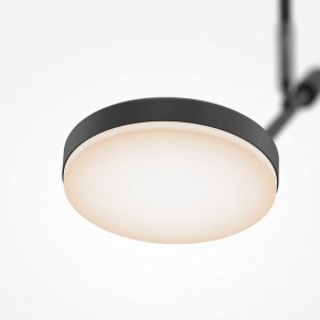 Светильник на штанге Maytoni Fad MOD070CL-L8B3K в Златоусте - zlatoust.ok-mebel.com | фото 4