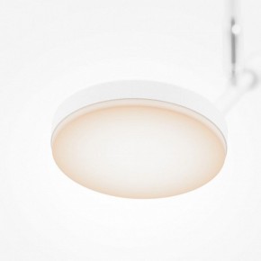 Светильник на штанге Maytoni Fad MOD070CL-L8W3K в Златоусте - zlatoust.ok-mebel.com | фото 4