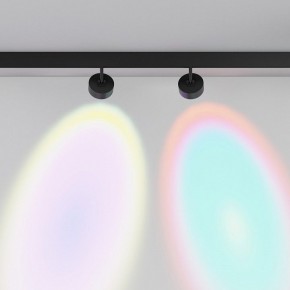 Светильник на штанге Maytoni Lens TR217-2-15W4K-B в Златоусте - zlatoust.ok-mebel.com | фото 6