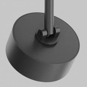 Светильник на штанге Maytoni Lens TR217-2-15W4K-B в Златоусте - zlatoust.ok-mebel.com | фото 9