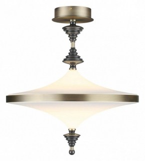 Светильник на штанге Odeon Light Ula 5404/43CL в Златоусте - zlatoust.ok-mebel.com | фото 2