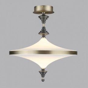 Светильник на штанге Odeon Light Ula 5404/43CL в Златоусте - zlatoust.ok-mebel.com | фото 3