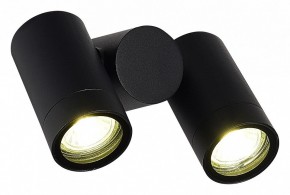 Светильник на штанге ST-Luce Ecollo SL9011.402.02 в Златоусте - zlatoust.ok-mebel.com | фото 3