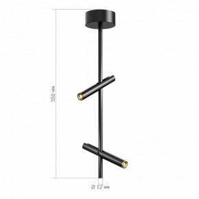 Светильник на штанге ST-Luce LILT SL6210.403.02 в Златоусте - zlatoust.ok-mebel.com | фото 3
