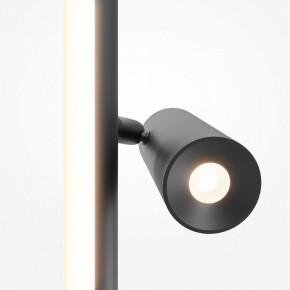 Торшер Maytoni Thin MOD395FL-L28B3K в Златоусте - zlatoust.ok-mebel.com | фото 6