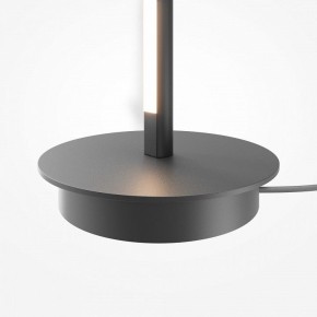 Торшер Maytoni Thin MOD395FL-L28B3K в Златоусте - zlatoust.ok-mebel.com | фото 8