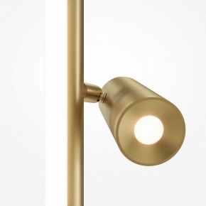 Торшер Maytoni Thin MOD395FL-L28BS3K в Златоусте - zlatoust.ok-mebel.com | фото 5