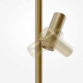 Торшер Maytoni Thin MOD395FL-L28BS3K в Златоусте - zlatoust.ok-mebel.com | фото 6