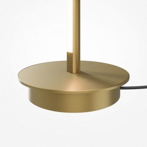 Торшер Maytoni Thin MOD395FL-L28BS3K в Златоусте - zlatoust.ok-mebel.com | фото 7