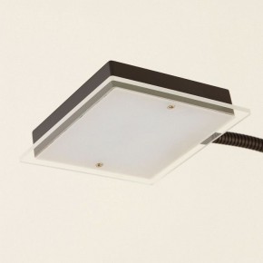 Торшер с подсветкой Citilux Харди CL802015 в Златоусте - zlatoust.ok-mebel.com | фото 14