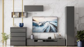 Тумба под ТВ Сибити в Златоусте - zlatoust.ok-mebel.com | фото 3