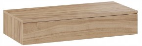 Тумбочка навесная ТД-102.08.02 в Златоусте - zlatoust.ok-mebel.com | фото 3