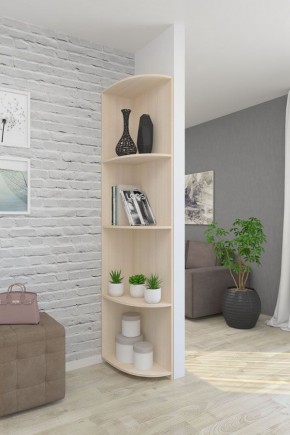 Угловой элемент ЛДСП 1 кат. в Златоусте - zlatoust.ok-mebel.com | фото 4