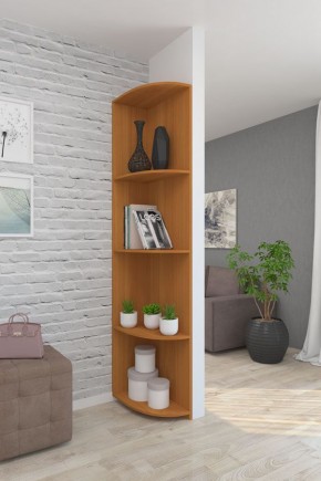 Угловой элемент ЛДСП 1 кат. в Златоусте - zlatoust.ok-mebel.com | фото 6