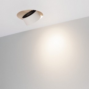 Встраиваемый светильник на штанге Arlight PLURIO 038065 в Златоусте - zlatoust.ok-mebel.com | фото 2